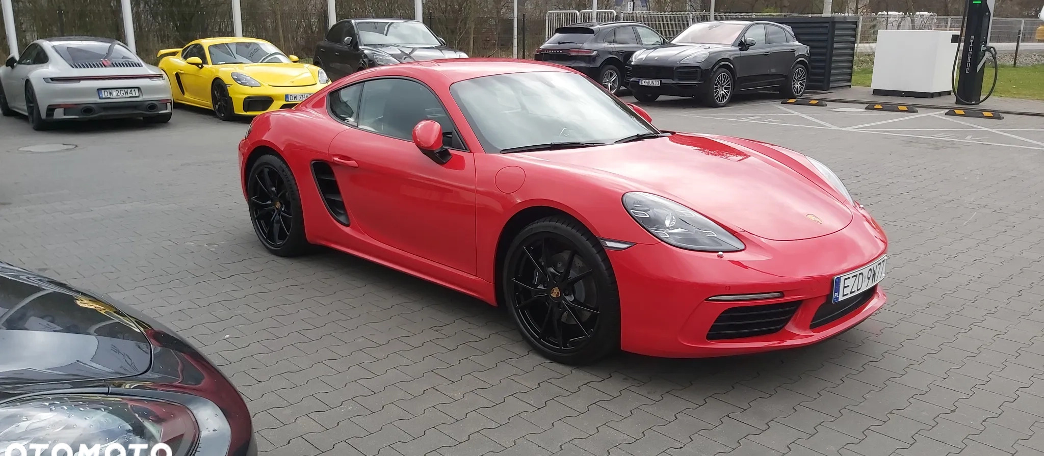 Porsche 718 Cayman cena 389999 przebieg: 9, rok produkcji 2023 z Pabianice małe 254